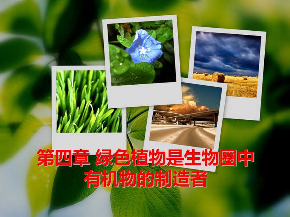 《绿色植物是生物圈中有机物的制造者》PPT课件3