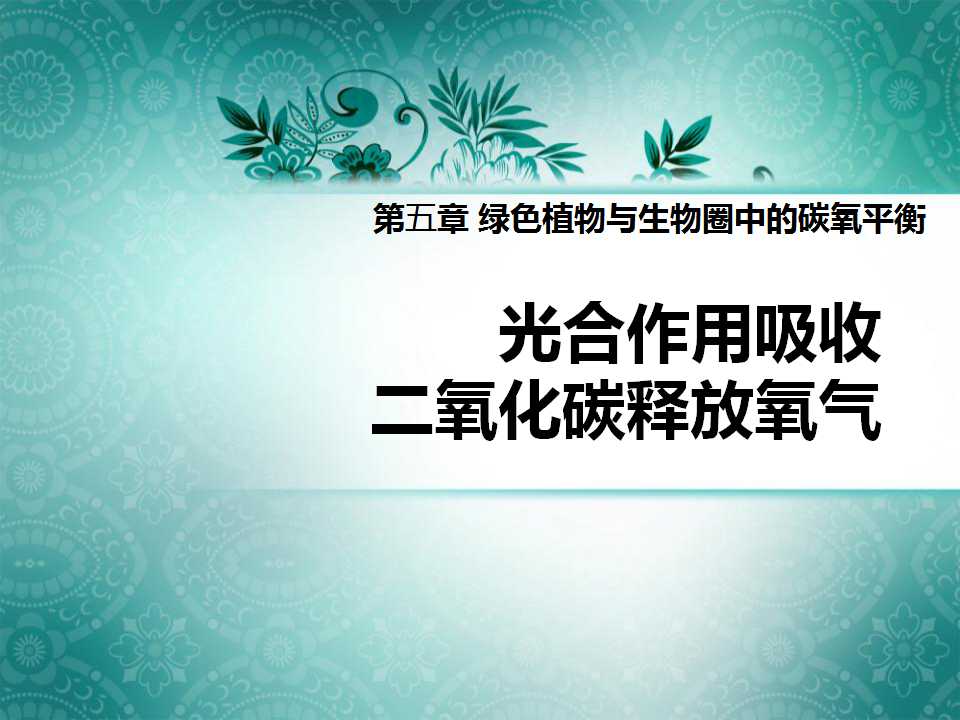 《光合作用吸收二氧化碳释放氧气》绿色植物与生物圈中碳-氧平衡PPT课件7