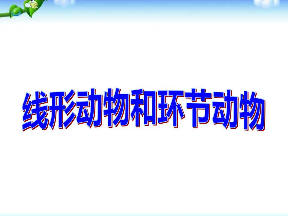 《线形动物和环节动物》动物的主要类群PPT课件7