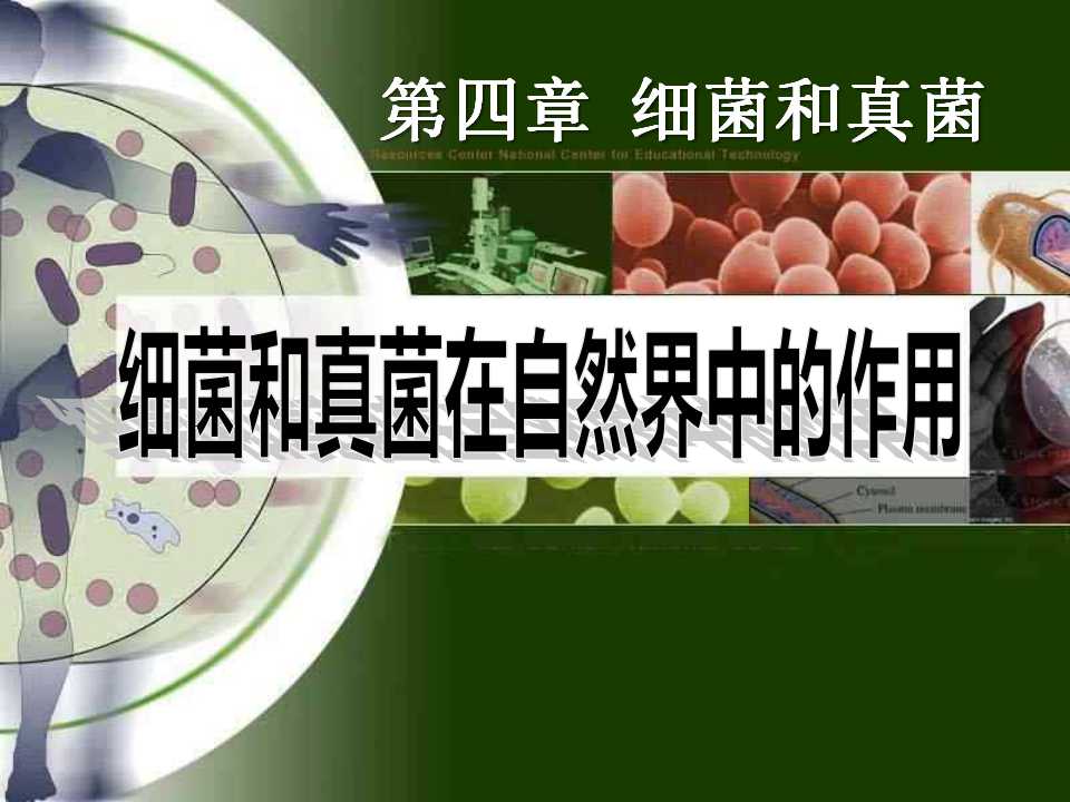 《细菌和真菌在自然界中的作用》细菌和真菌PPT课件