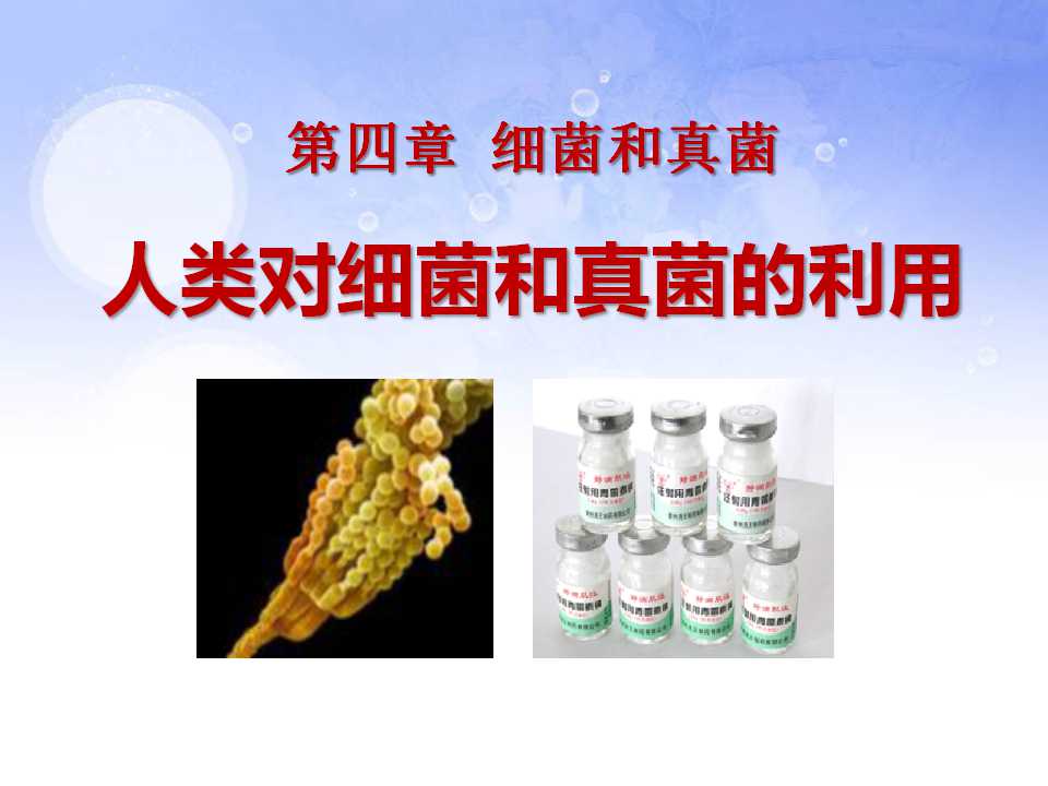 《人类对细菌和真菌的利用》细菌和真菌PPT课件8