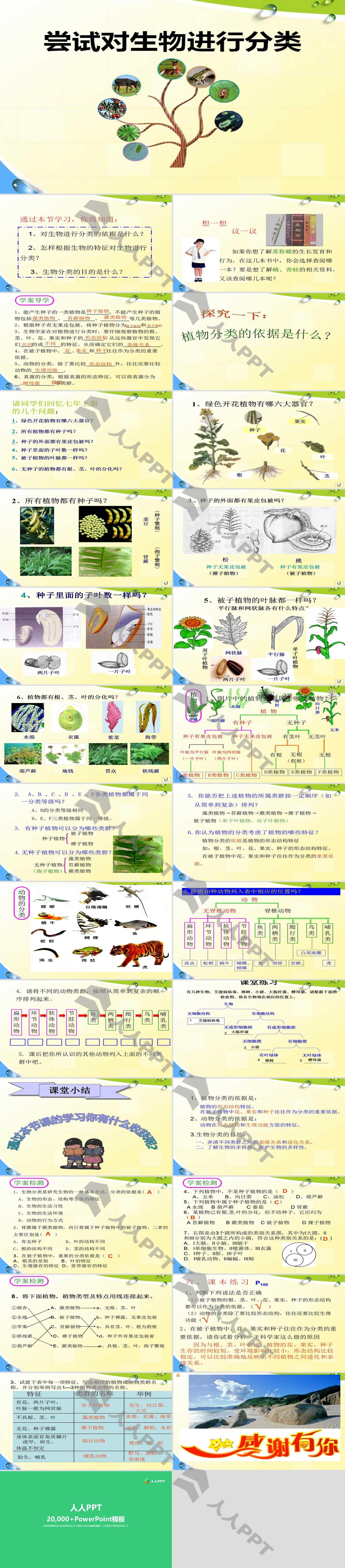 《尝试对生物进行分类》根据生物的特征进行分类PPT课件8长图