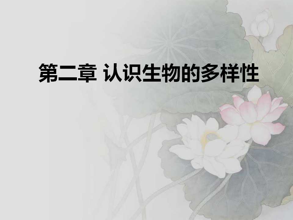 《认识生物的多样性》PPT课件2