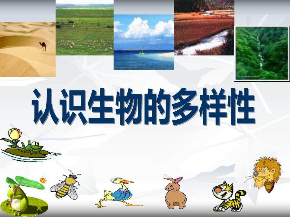 《认识生物的多样性》PPT课件6