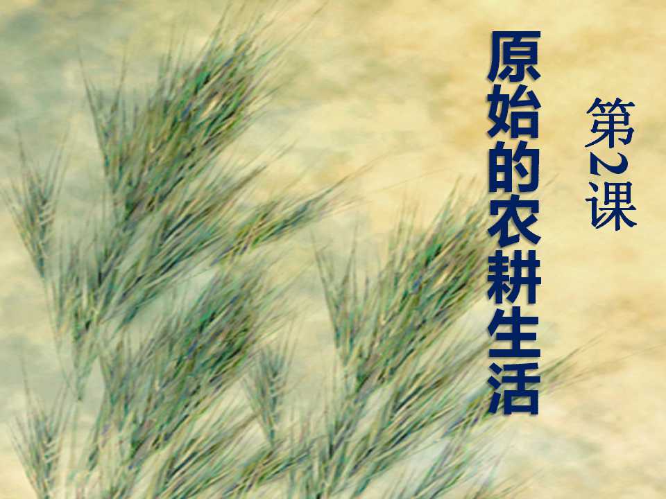 《原始的农耕生活》中华文明的起源PPT课件2
