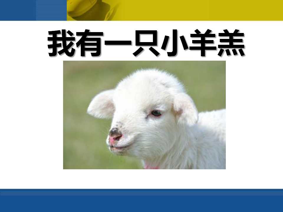 《我有一只小羊羔》PPT课件2
