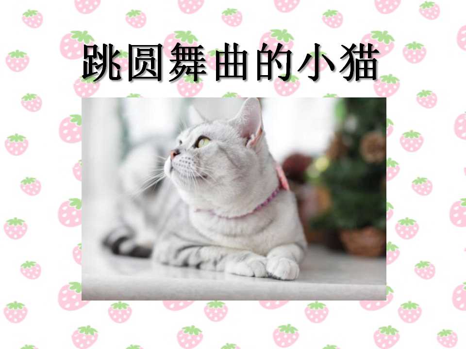 《跳圆舞曲的小猫》PPT课件