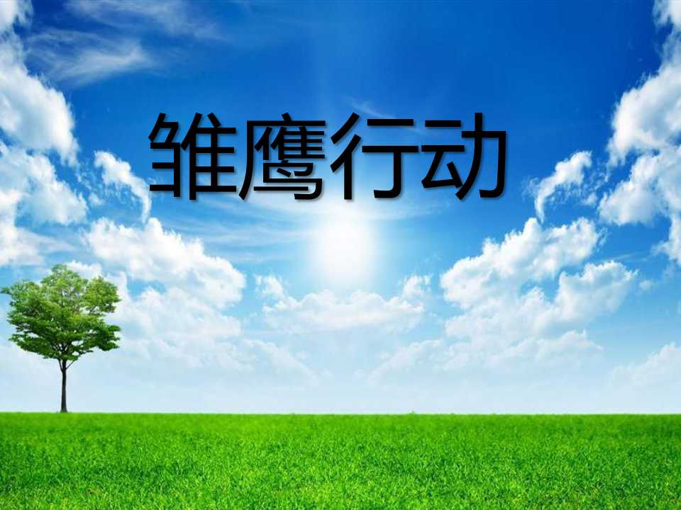 《雏鹰之歌》PPT课件