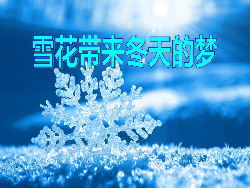 《雪花带来冬天的梦》PPT课件2