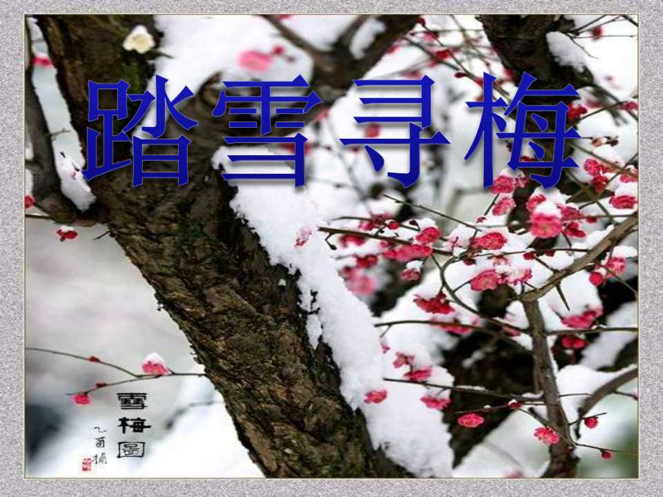 《踏雪寻梅》PPT课件4