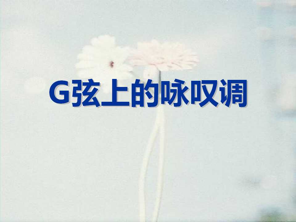 《G弦上的咏叹调》PPT课件3