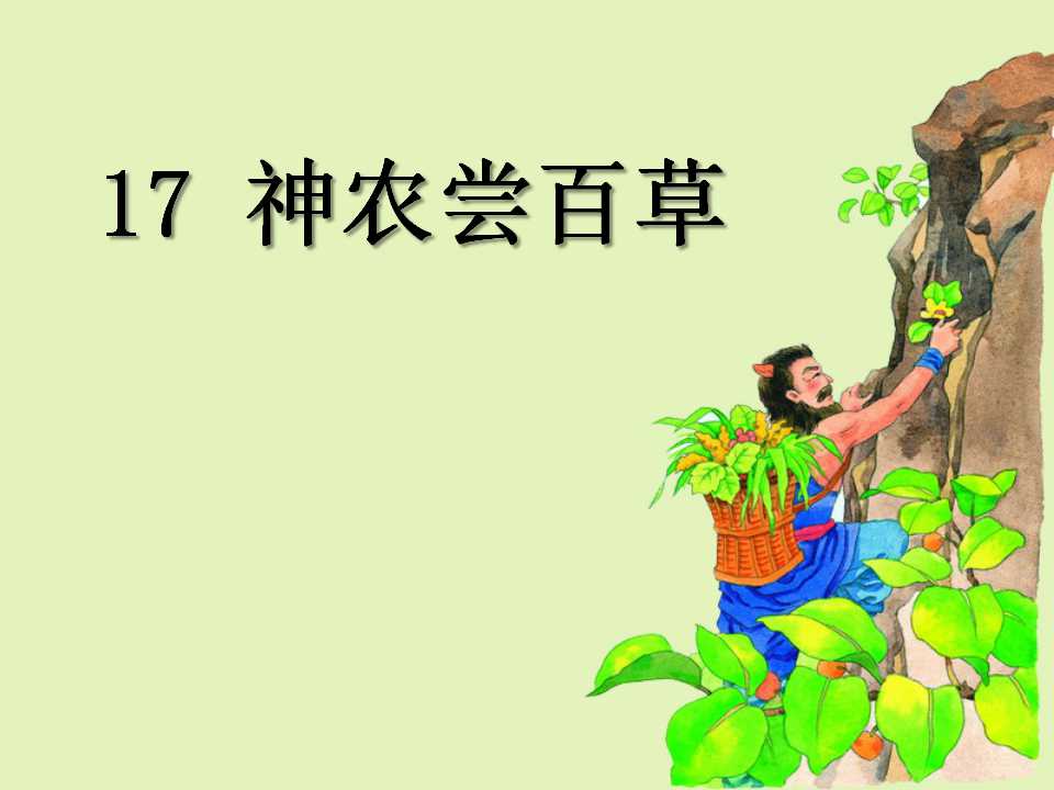 《神农尝百草》PPT课件2