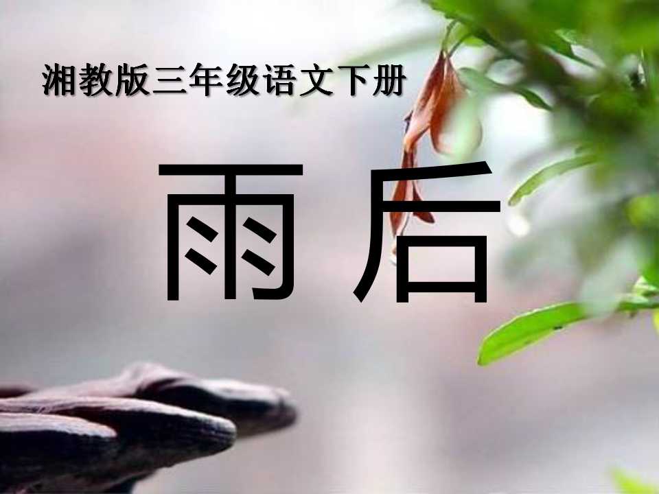 《雨后》PPT课件11