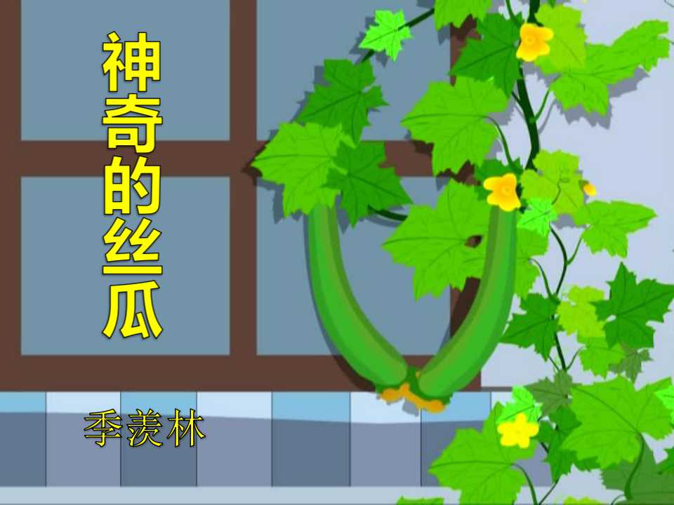 《神奇的丝瓜》PPT课件8