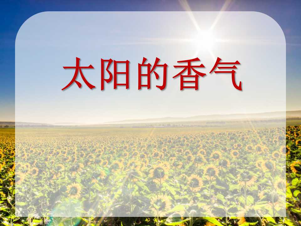 《太阳的香气》PPT课件