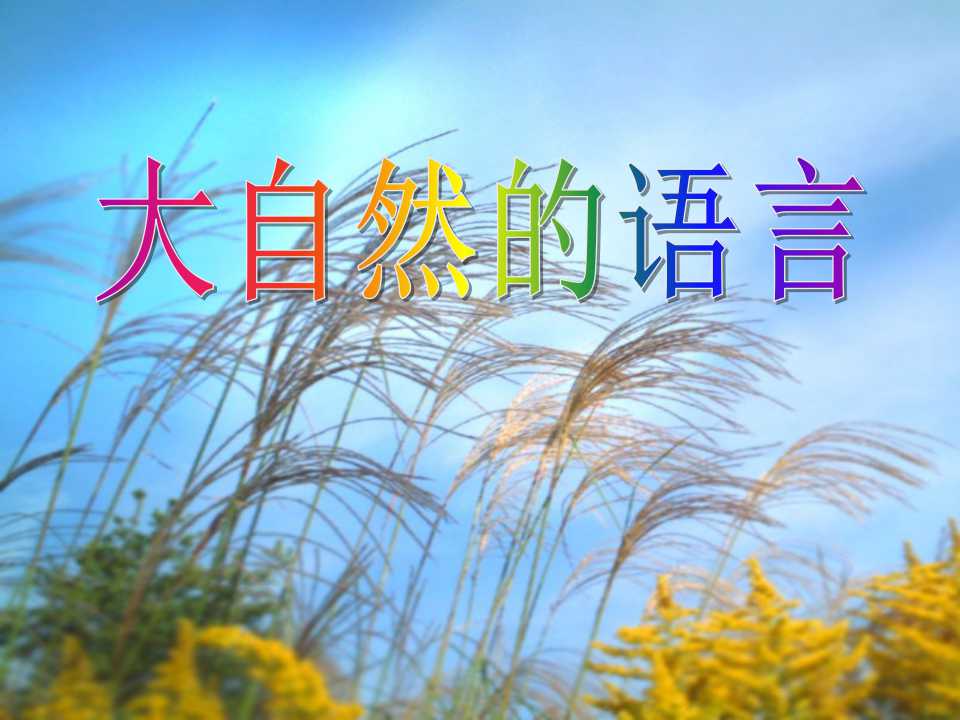 《大自然的语言》PPT课件12