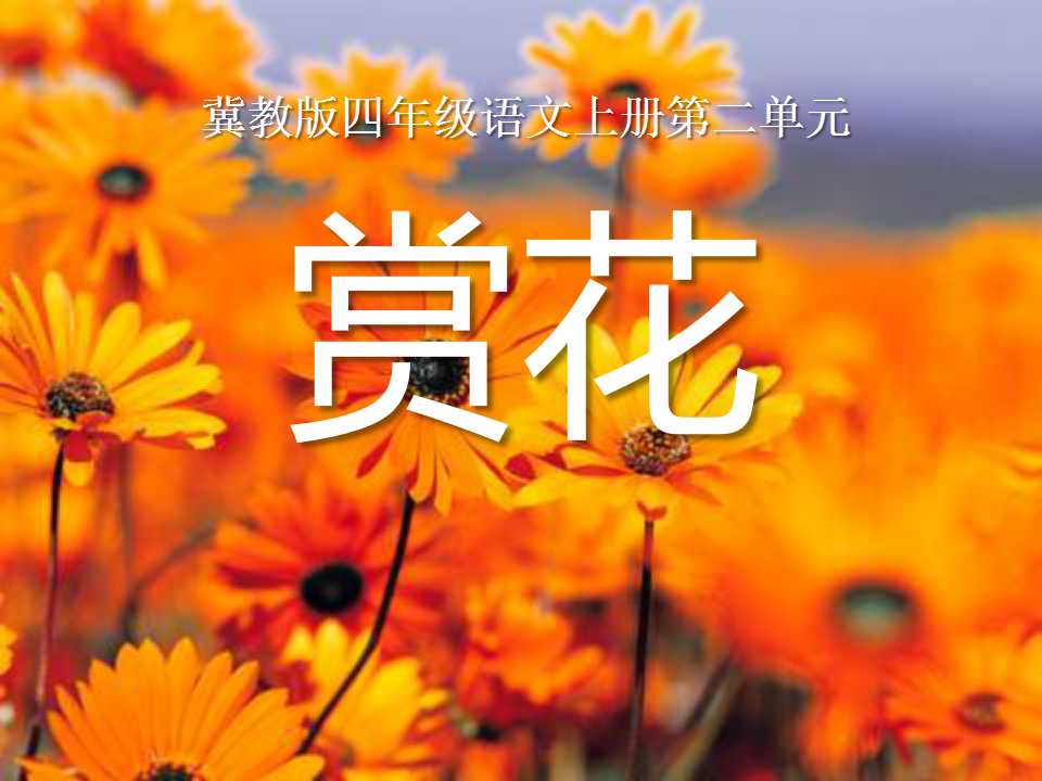 《赏花》PPT课件