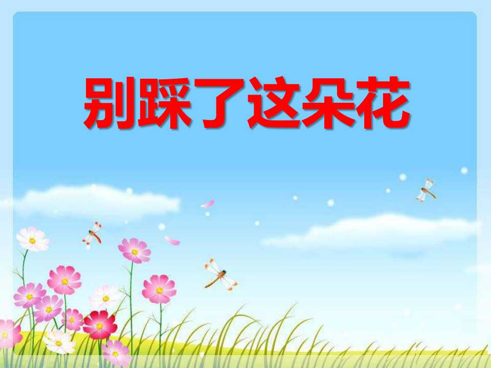 《别踩了这朵花》PPT课件3