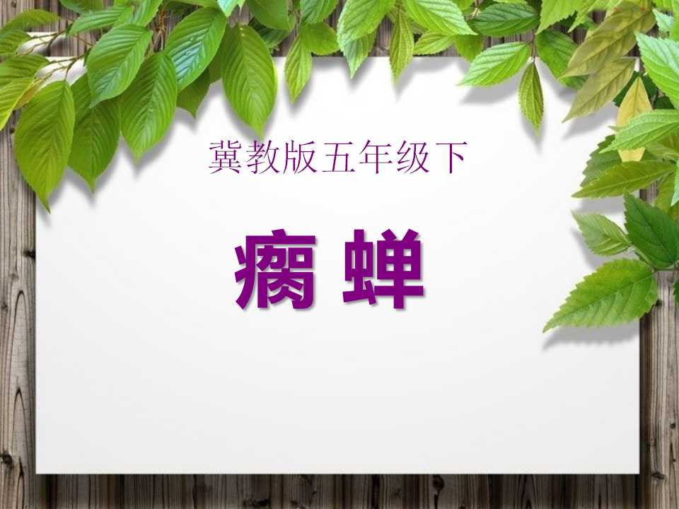 《瘸蝉》PPT课件2