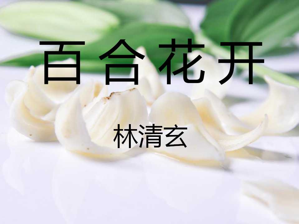 《百合花开》PPT课件2