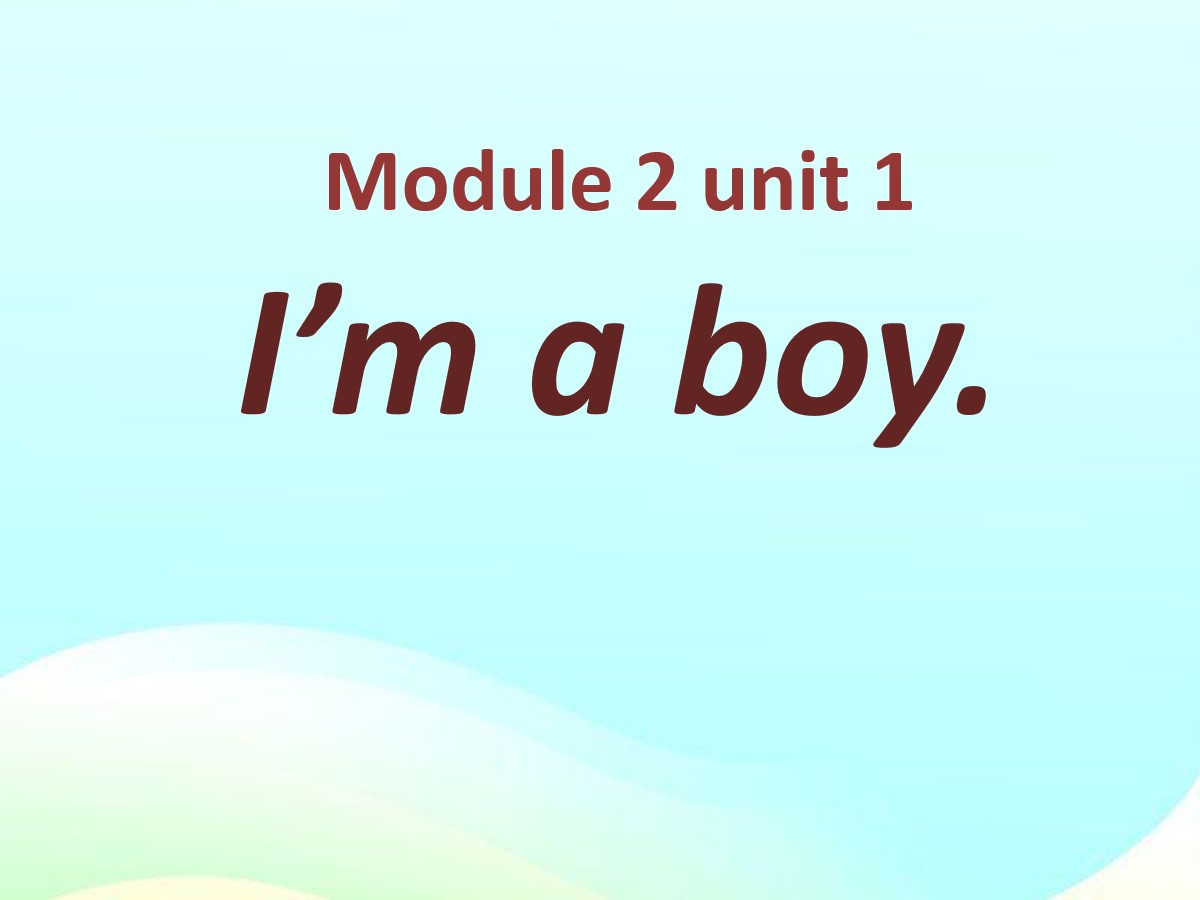 《I'm a boy》PPT课件3