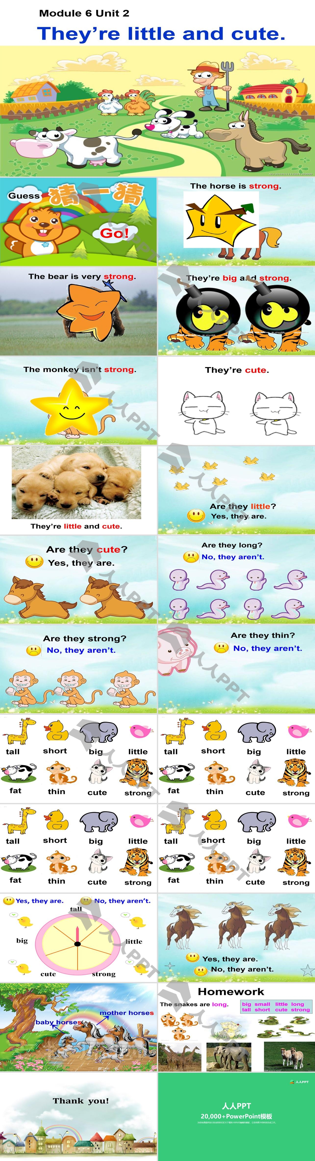 《They’re little and cute》PPT课件4长图