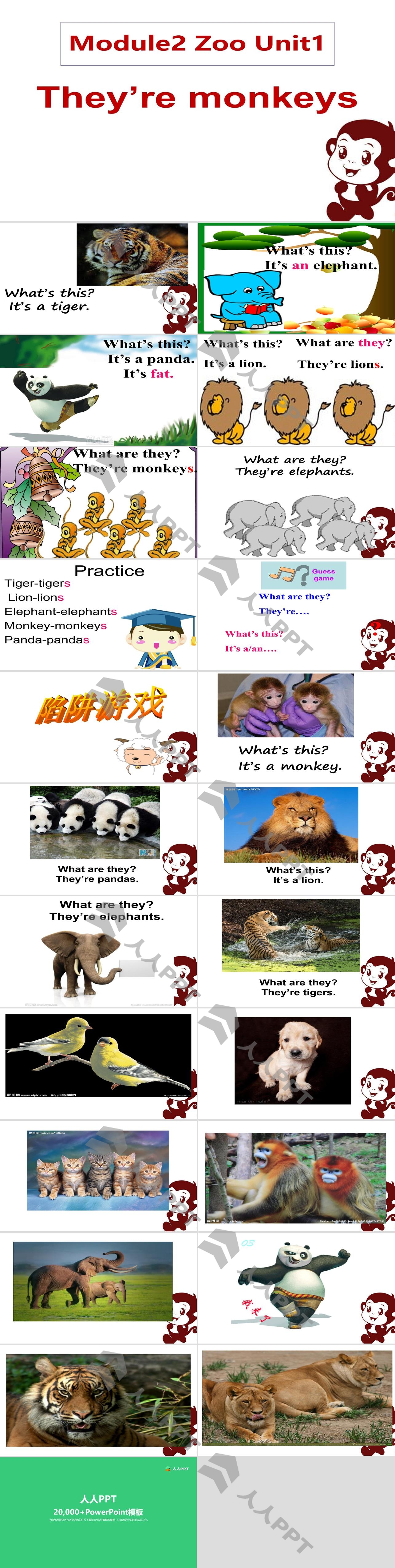 《They are monkeys》PPT课件2长图