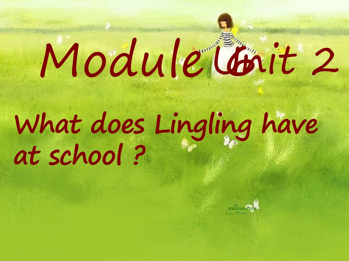 《What does Lingling have at school?》PPT课件