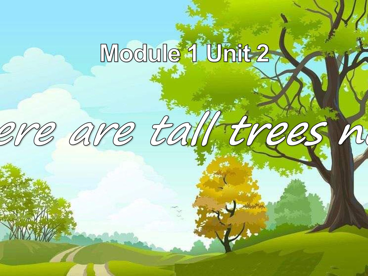 《There are tall trees now》PPT课件