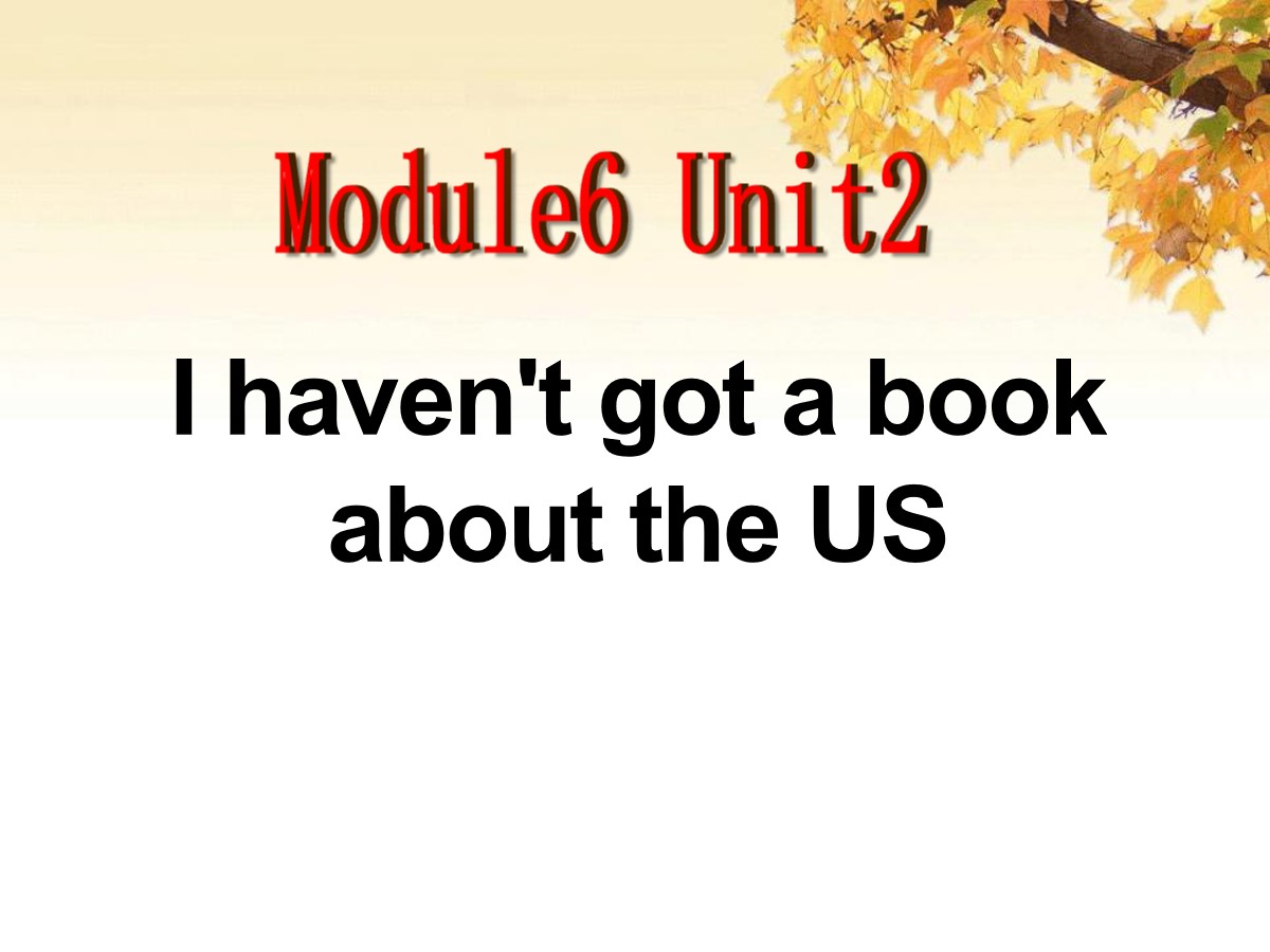 《I haven't got a book about the US》PPT课件2