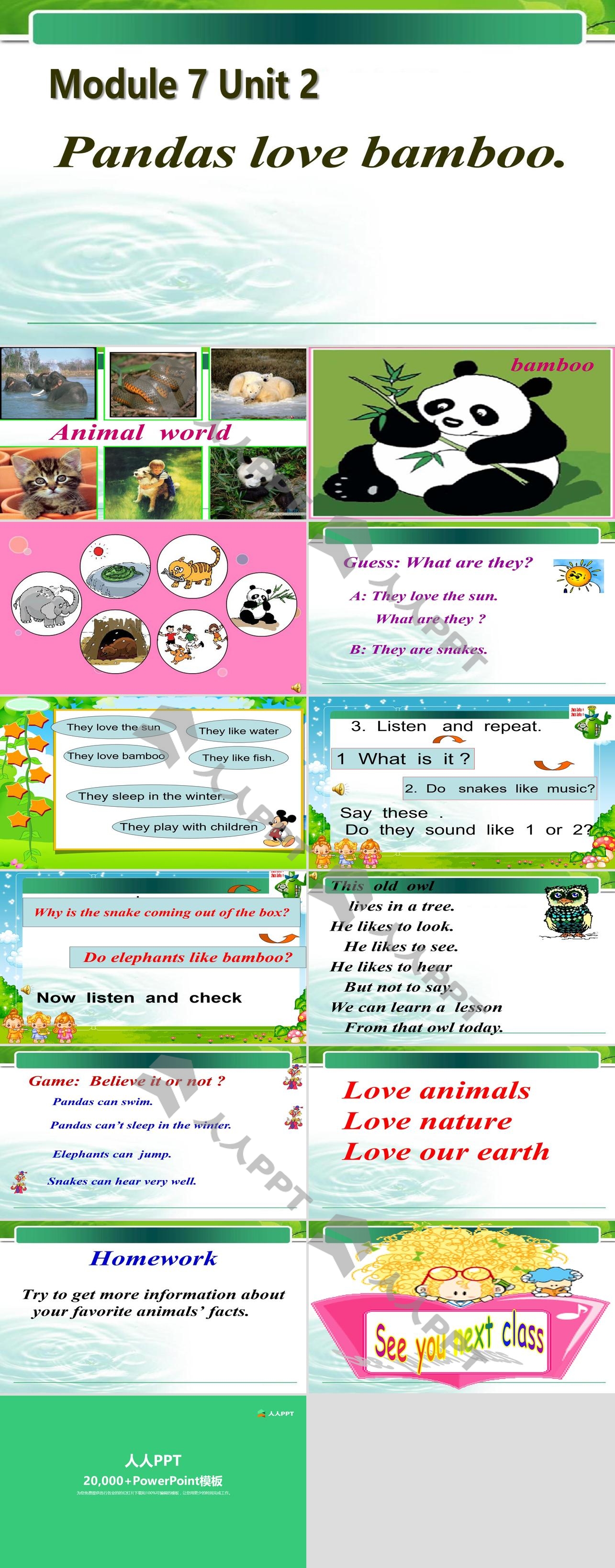 《Pandas love bamboo》PPT课件2长图