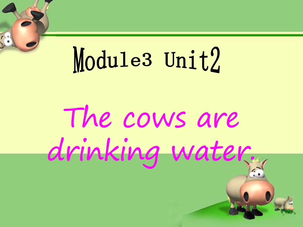 《The cows are drinking water》PPT课件5