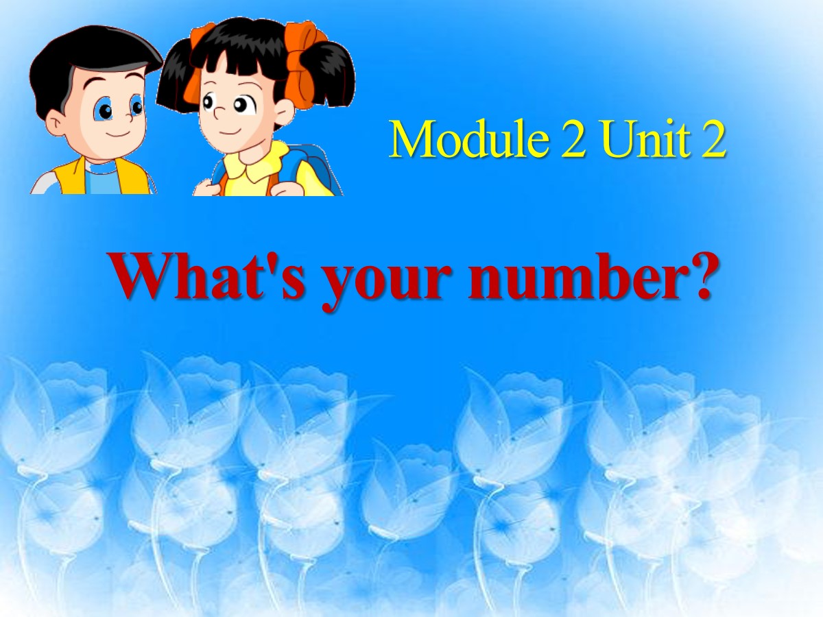 《what's your number?》PPT课件3