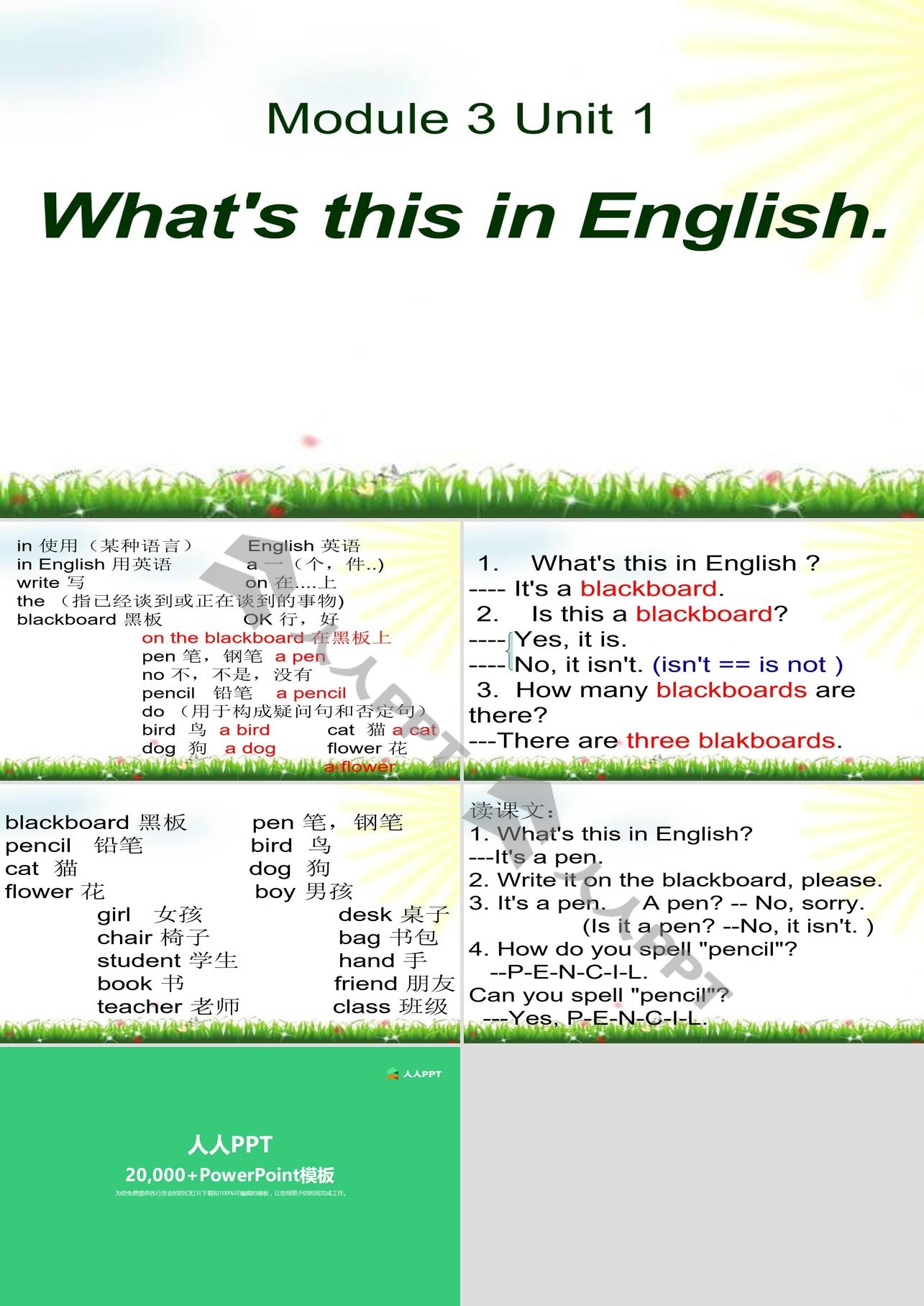 《What's this in English》PPT课件长图