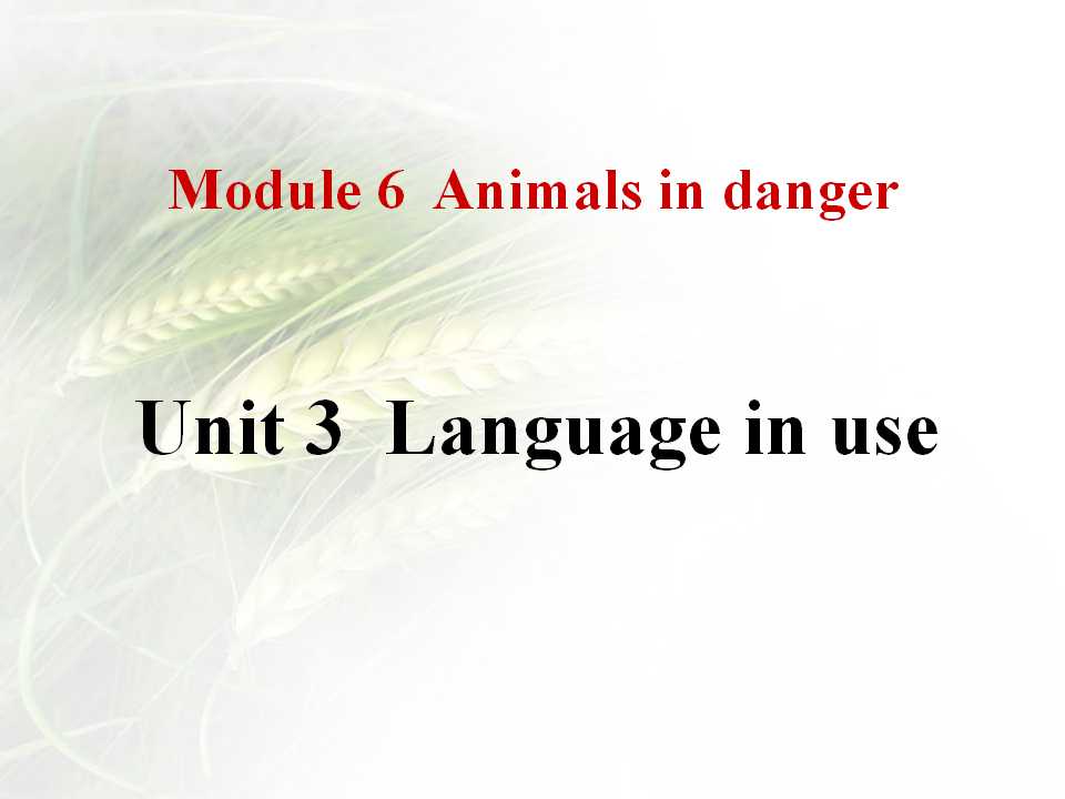 《Language in use》Animals in danger PPT课件2