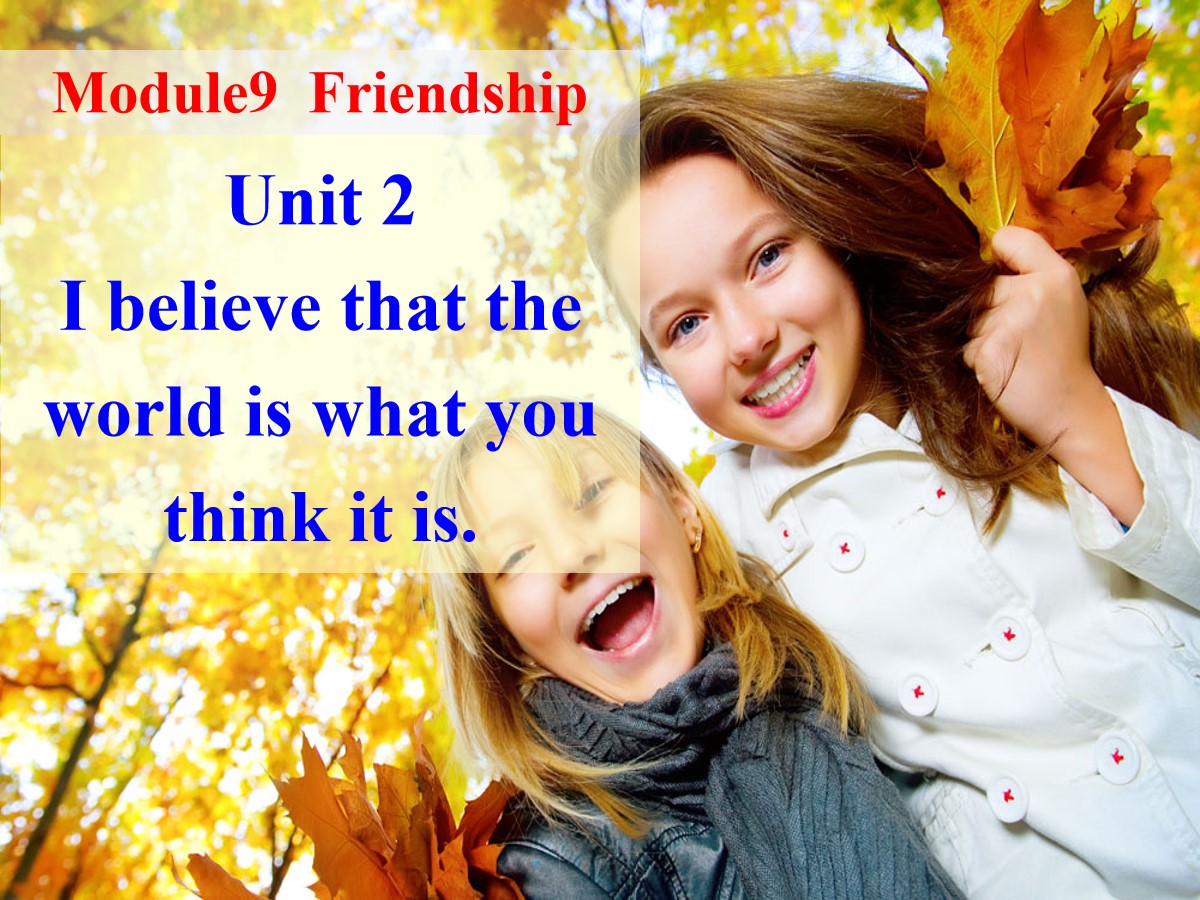 《I believe that the world is what you think it is》Friendship PPT课件3