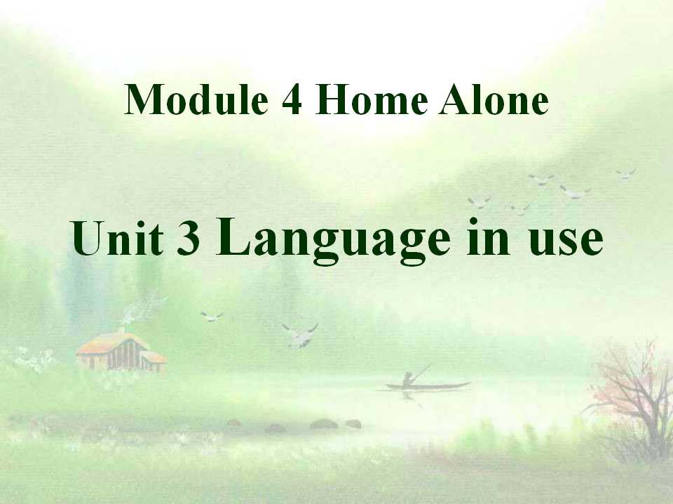 《Language in use》Home alone PPT课件