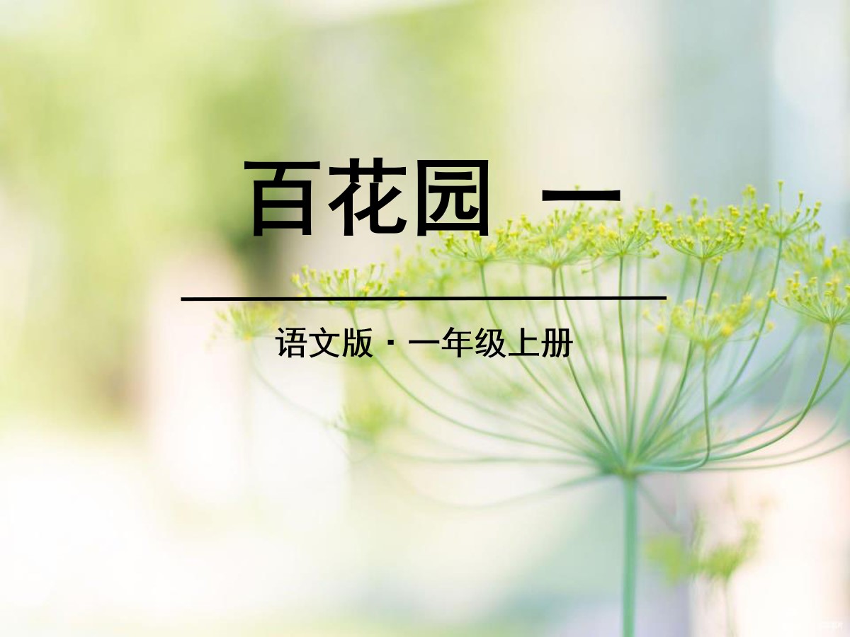 《百花园一》PPT课件2