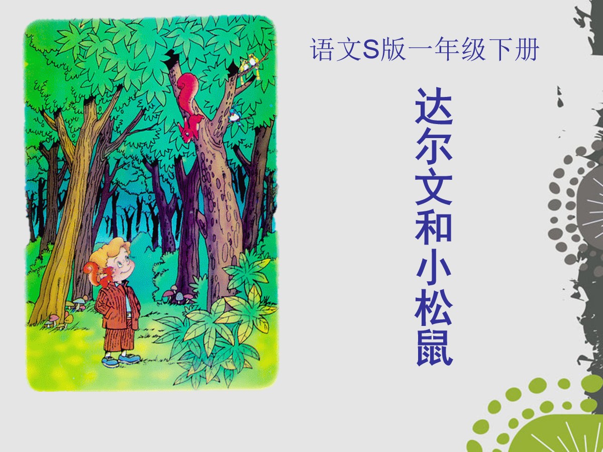 《达尔文和小松鼠》PPT课件6