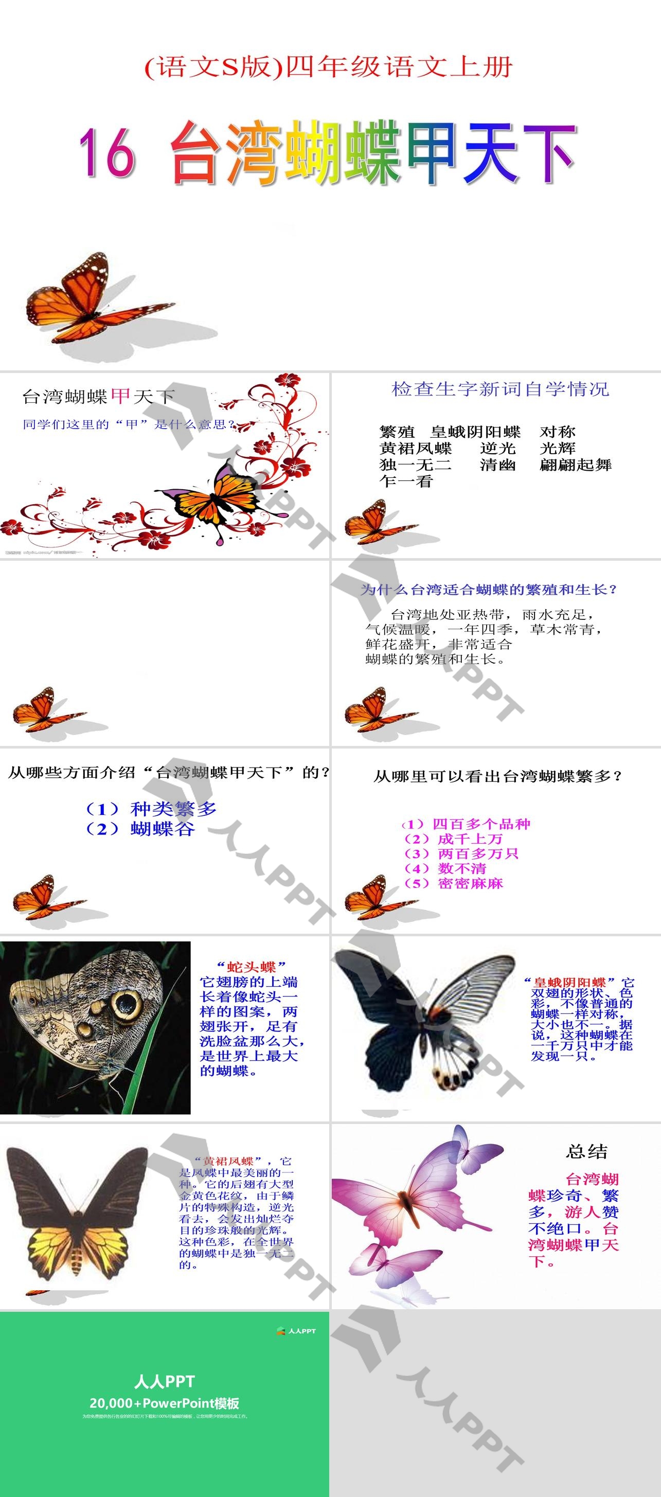 《台湾蝴蝶甲天下》PPT课件3长图