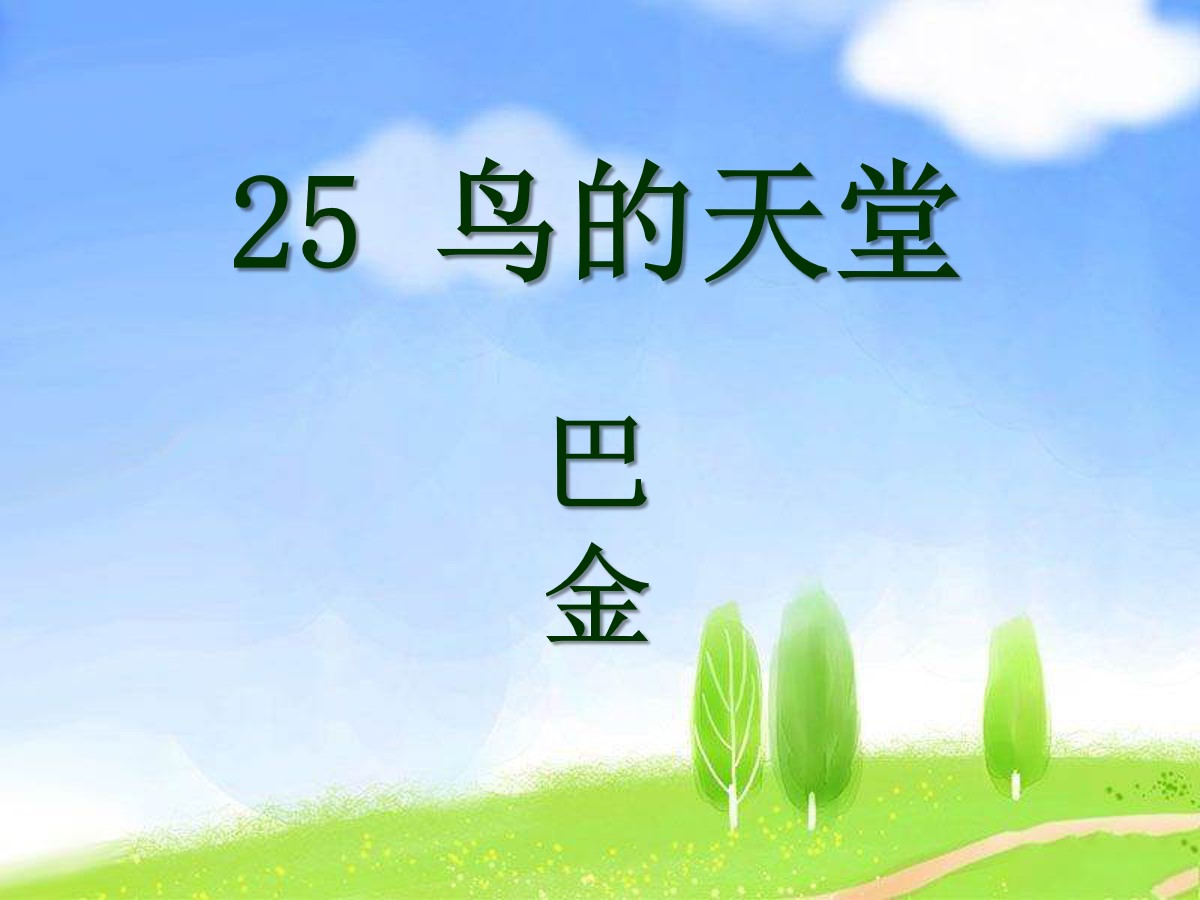 《鸟的天堂》PPT课件8