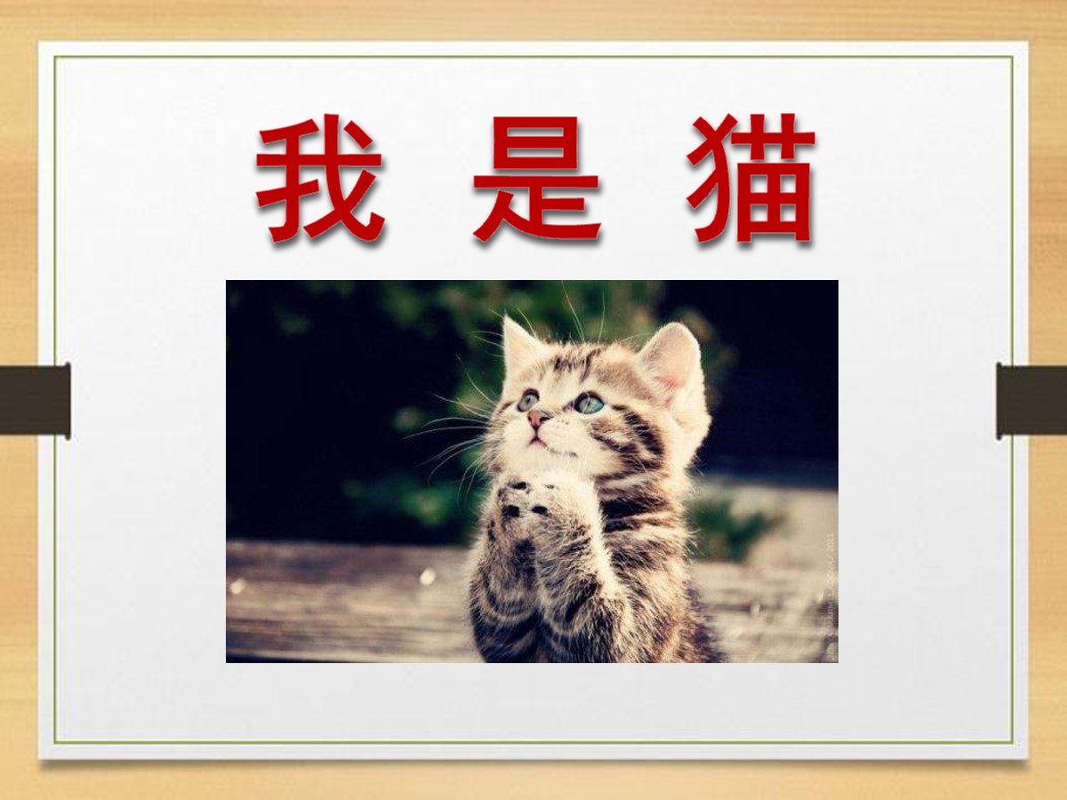 《我是猫》PPT课件2