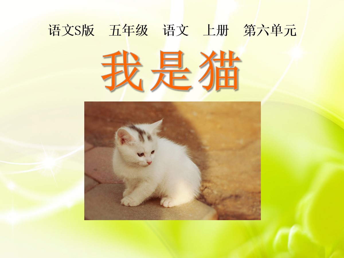 《我是猫》PPT课件4