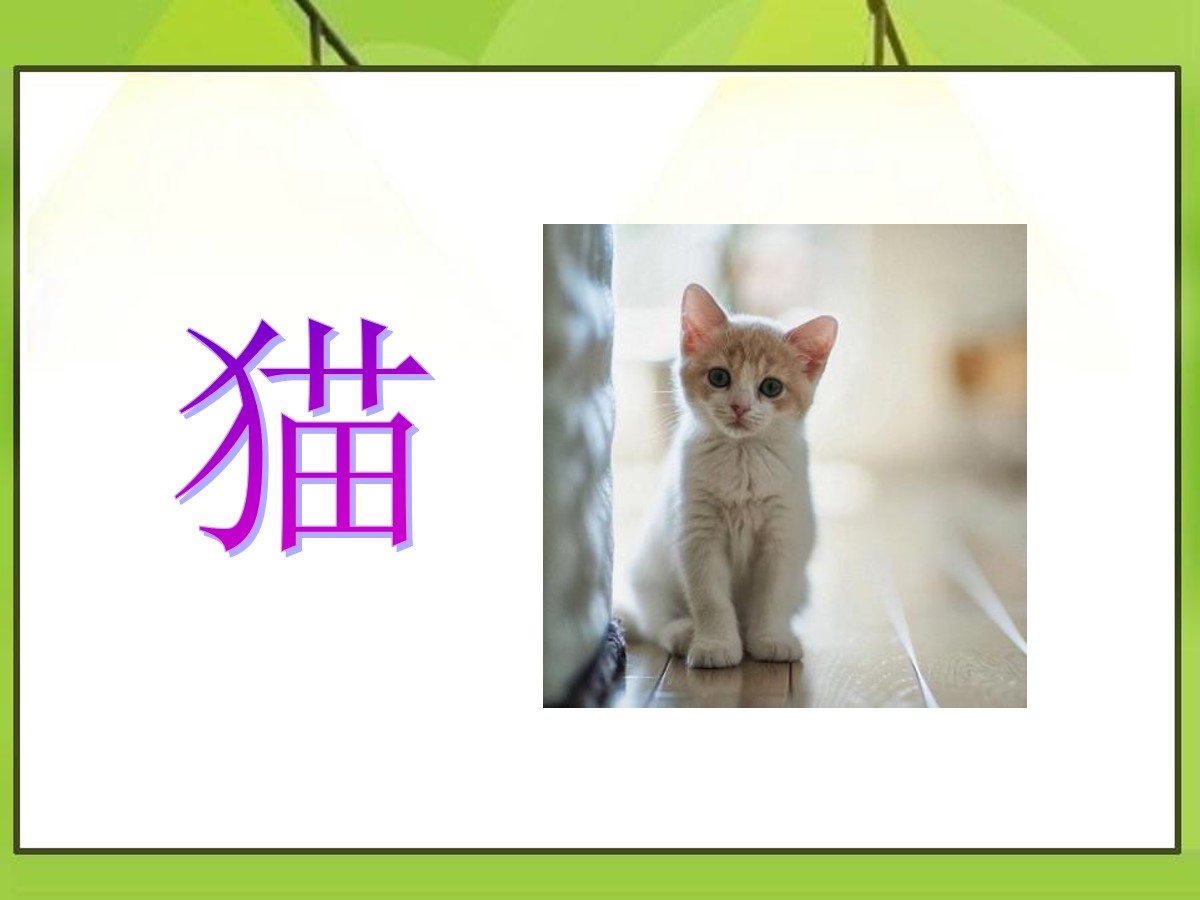 《猫》PPT课件6