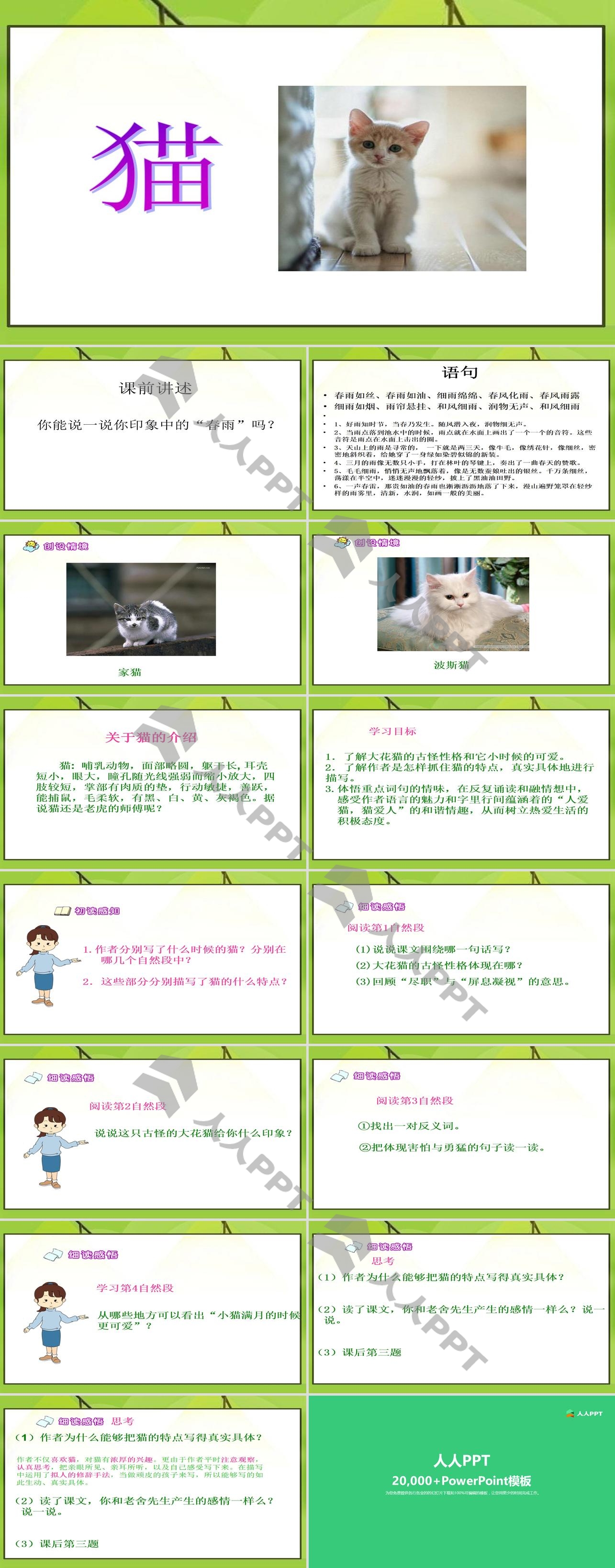 《猫》PPT课件6长图