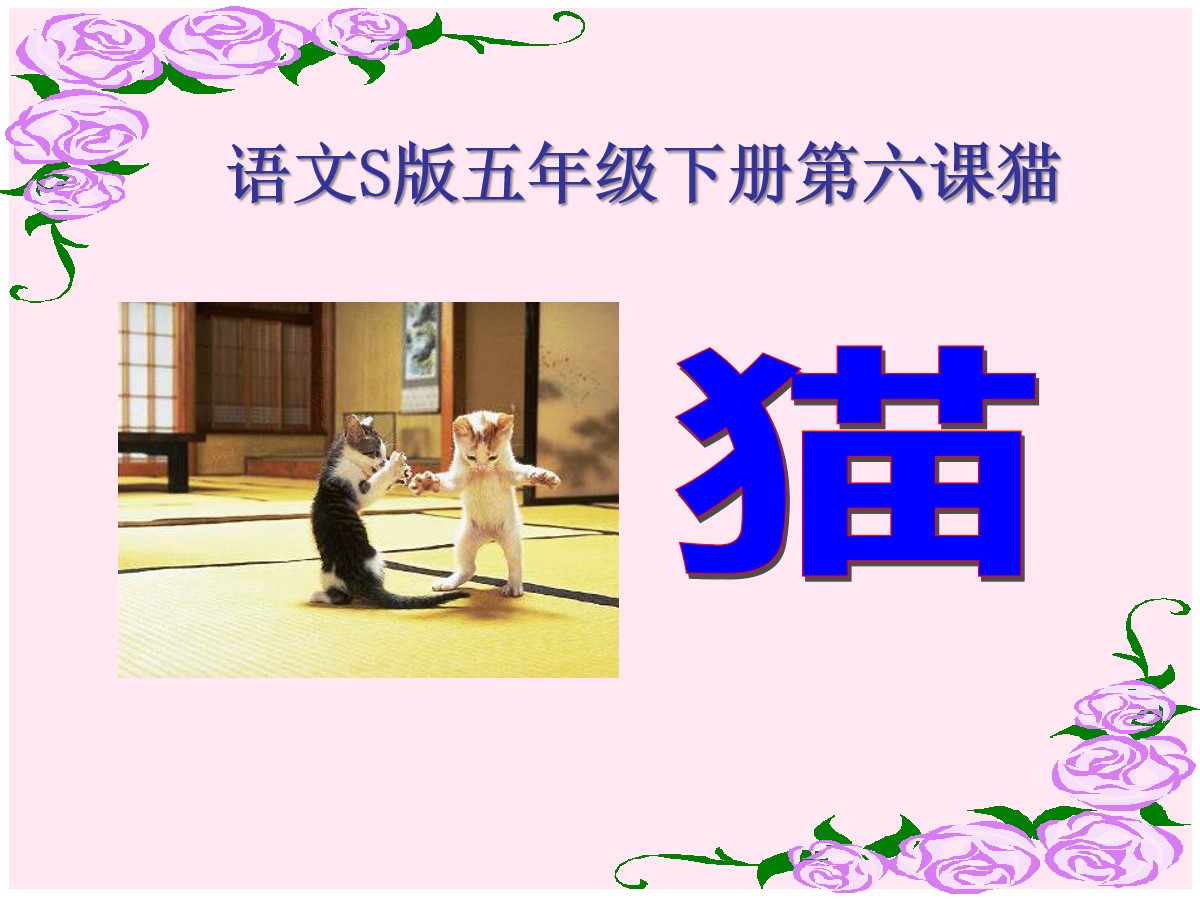 《猫》PPT课件7