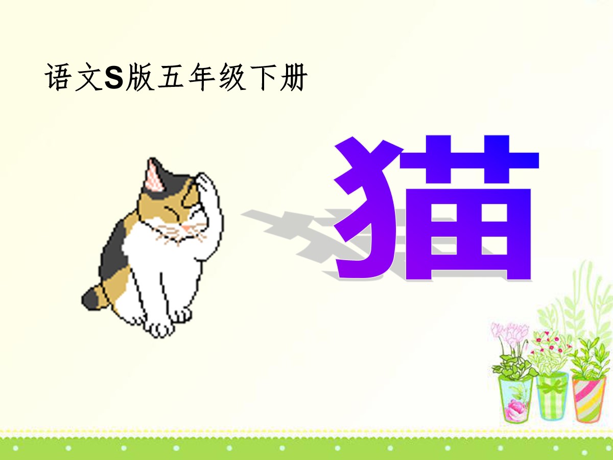 《猫》PPT课件8