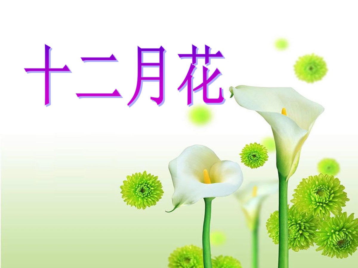 《十二月花歌》PPT课件