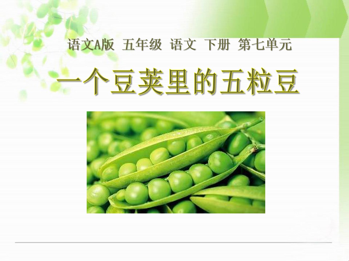 《一个豆荚里的五粒豆》PPT课件