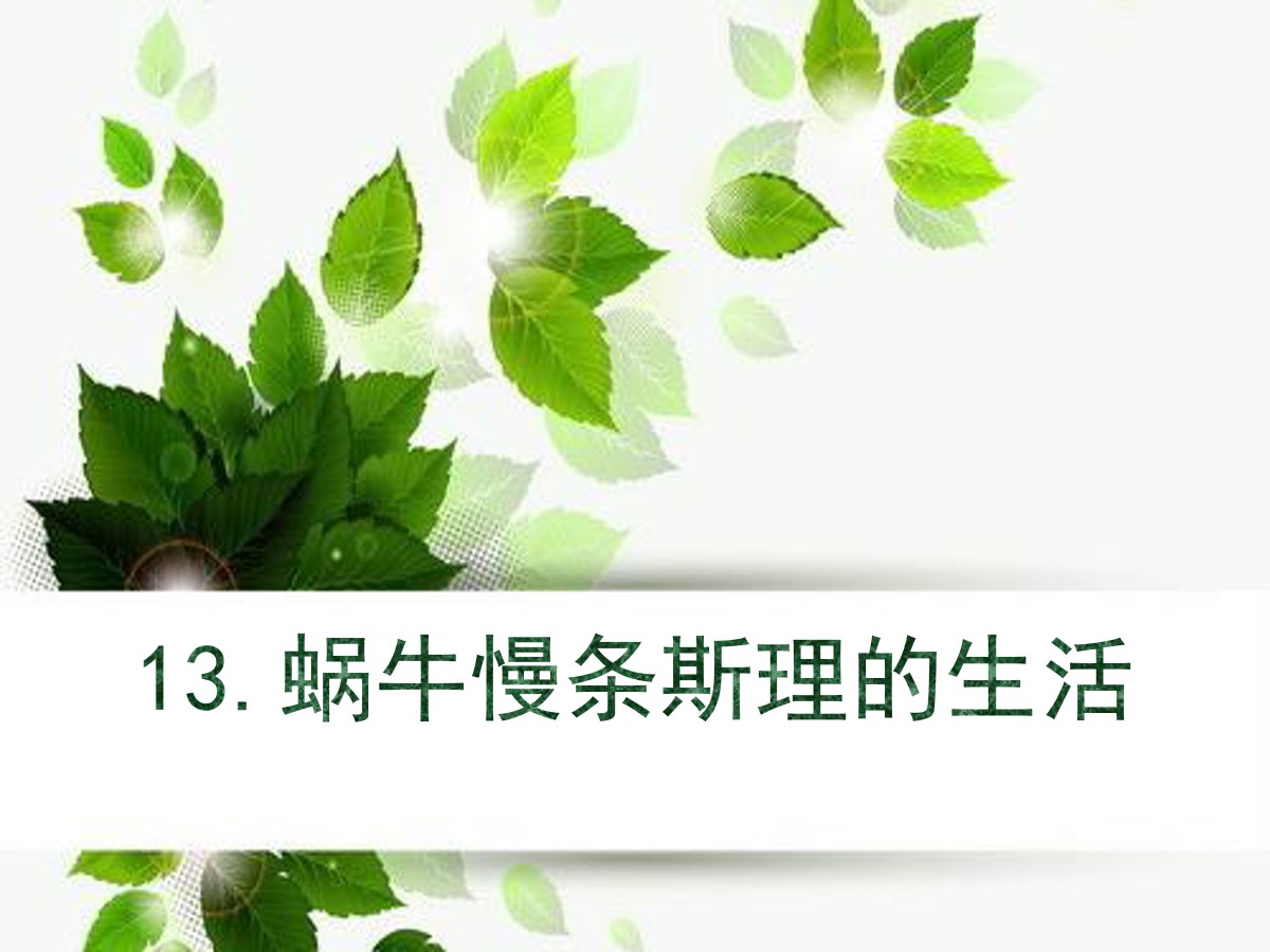 《蜗牛慢条斯理的生活》PPT课件